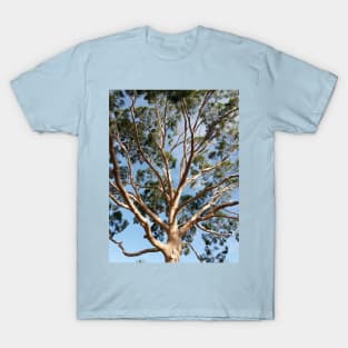 Gumtree Australia T-Shirt